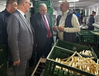 Żniwa Szparagowe w Mochach 2025