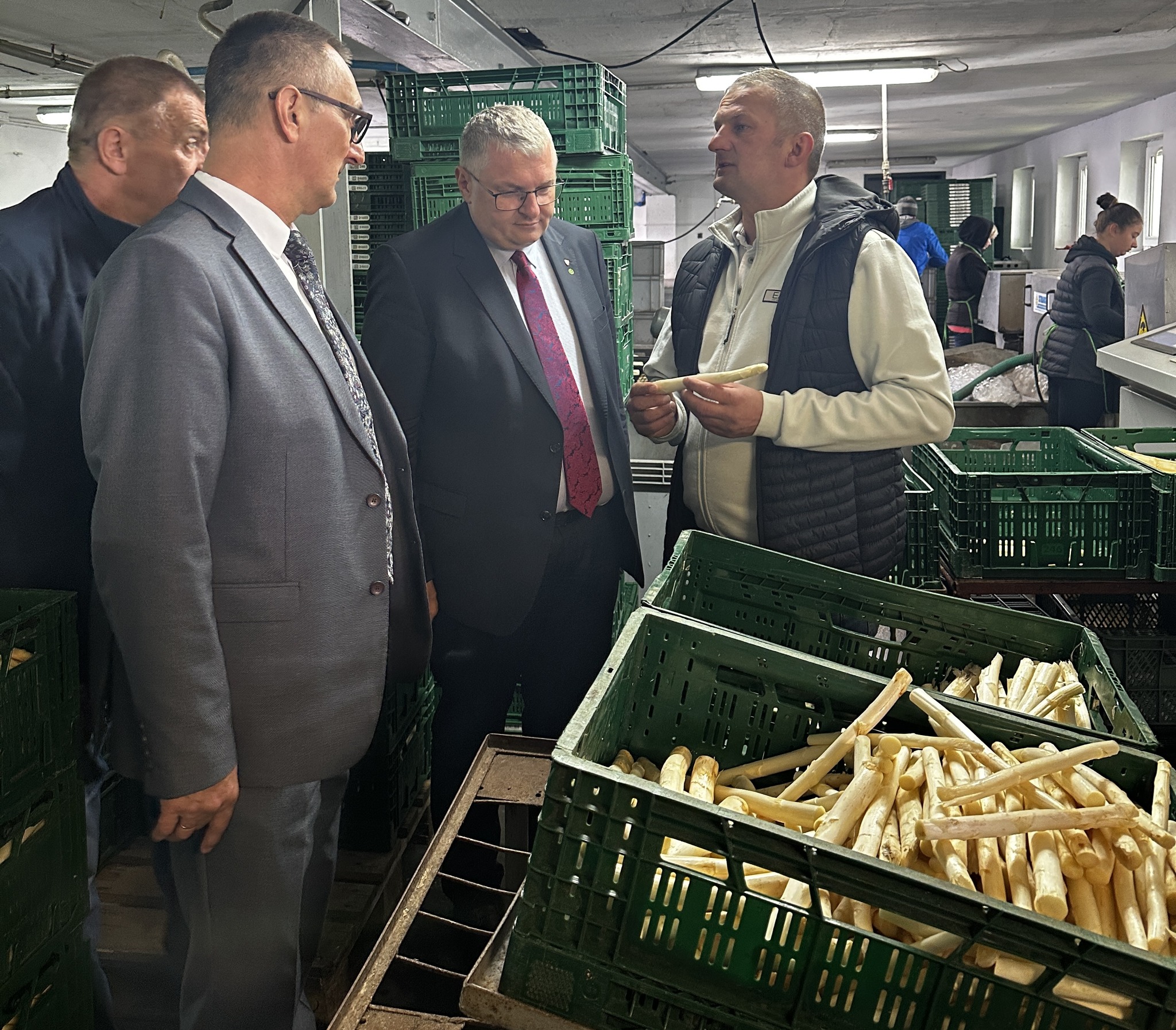 Żniwa Szparagowe w Mochach 2025