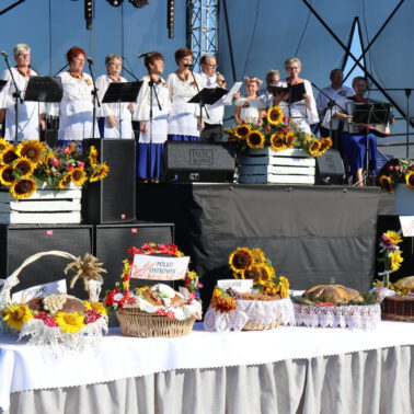 Dożynki Stawiszyn
