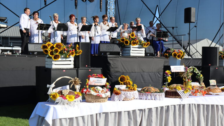 Dożynki Stawiszyn
