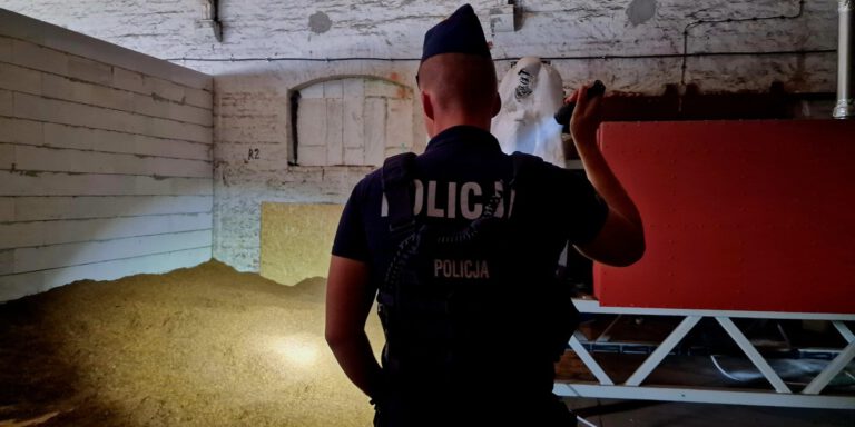 Nielegalny tytoń Kalisz