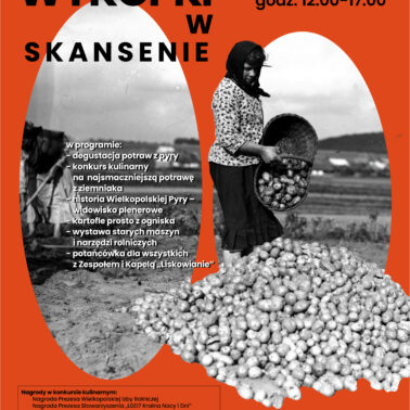 Wykopki w Skansenie Russów 2025