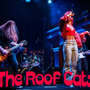 The Roof Cats koncert Kalisz