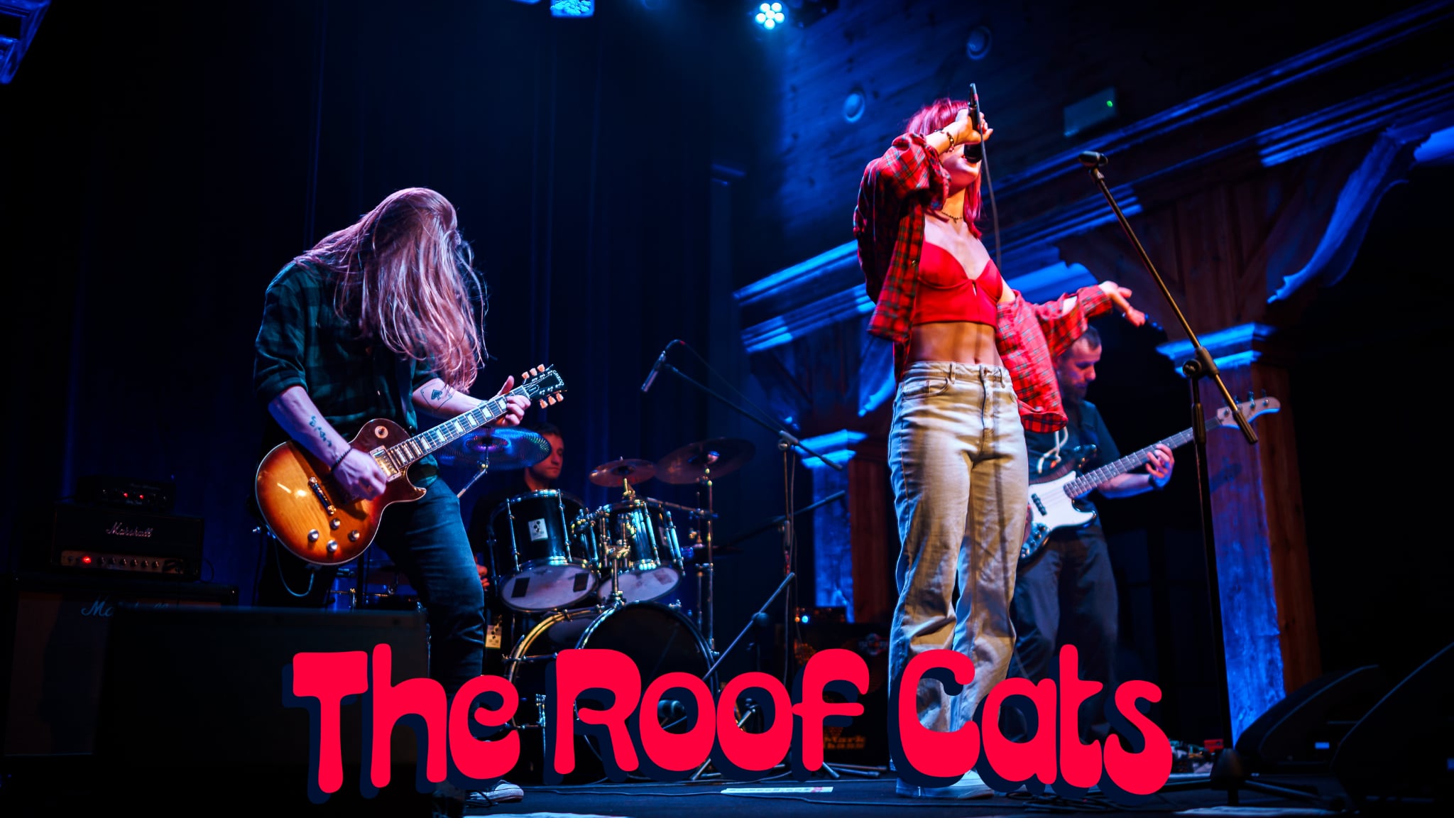 The Roof Cats koncert Kalisz